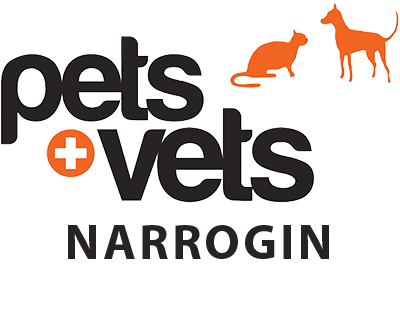 Narrogin Veterinary Hospital