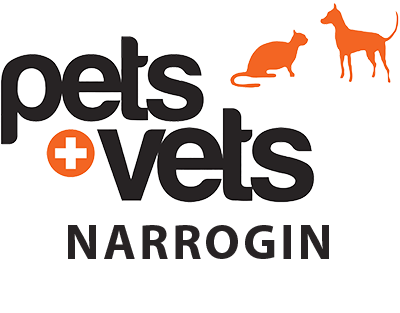 Narrogin Veterinary Hospital | Pets & Vets